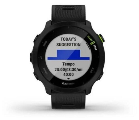 Часы Forerunner 55 (Black)